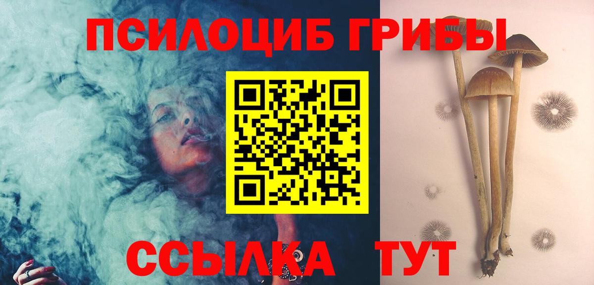 Псилоцибиновые грибы мицелий  купить наркотик  Галлюциногенные грибы ЛСД  Мичуринск  Вход с VPN 